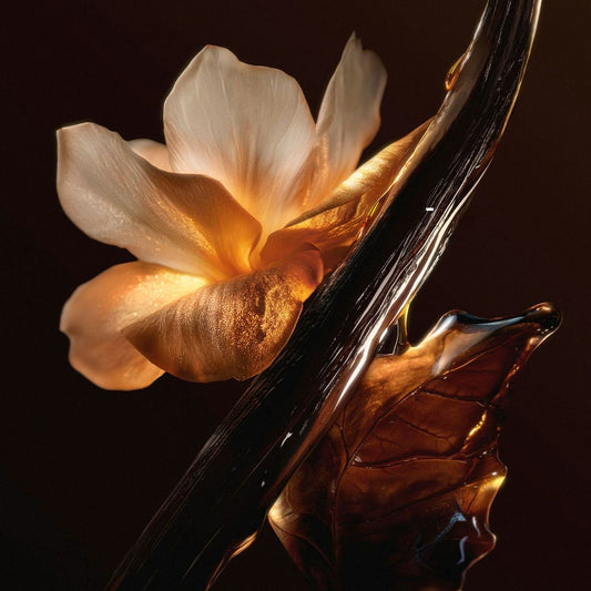 EVOLVE CANDLE